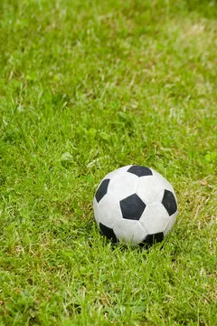 参与流程示意图